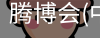 腾博会